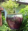 poterie de jardin