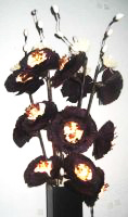 composition florale - fleur vegetale lumineuse